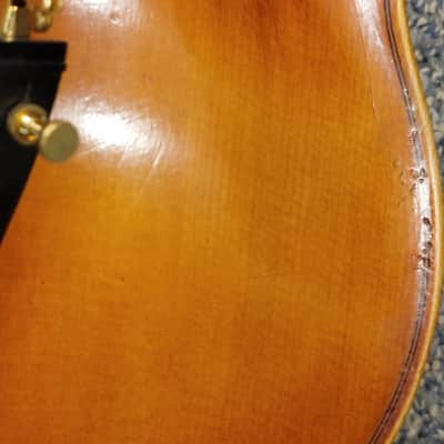 D Z Strad Viola Outfit - Model 500 - (14 Inch) (Handmade by prize winning luthiers) image 3