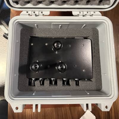 D. Kowalski Dark Gene Green (JCM 800-Style) 1/2W Amp Head with Pelican Case image 6