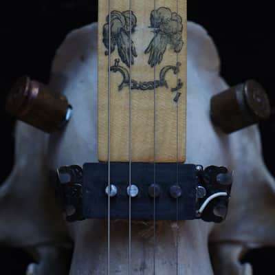 4 string cigarbox style bear skull guitar Spirit image 7