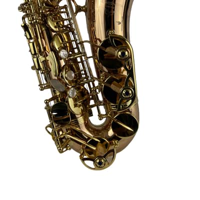 Yanagisawa AWO20UL Unlacquered Bronze Elite Alto Saxophone New In Box! image 7