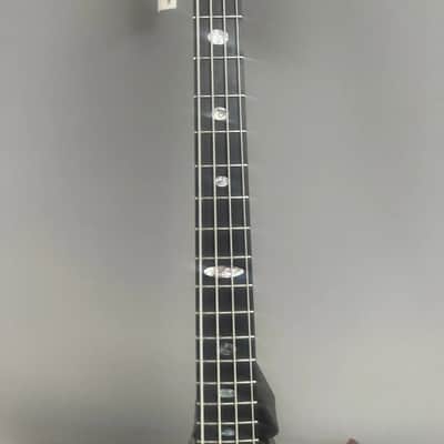 Alembic Bass Stanley Clark signature deluxe Cocobolo 2023 image 4