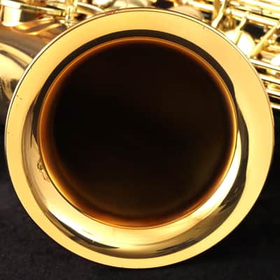 YANAGISAWA Tenor T-WO20 Bronze Tenor Saxophone SN.0036xxxx (All pads replaced) [360441] (06/12) image 14