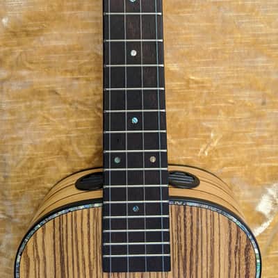Liger Ukulele • Professional Tenor Ukulele with Built-in Amp and Speaker image 13