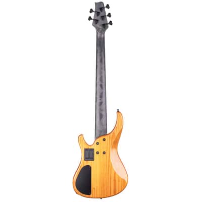 G.Gould GGi5 – Flame Walnut Top – Torrefied Pine Body – Graphite Composite Neck – 8.1 pounds – 1464 image 7
