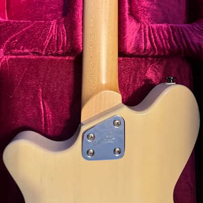 Maton T-Byrd - Transparent white image 10