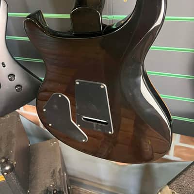 PRS SE DGT (David Grissom Trem) Gold Top 2023 Electric Guitar image 12