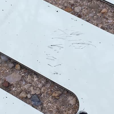 Lefty Vintage Fender 1962 Reissue Mint Green Strat Guitar Pickguard 3-ply Aged Relic image 5