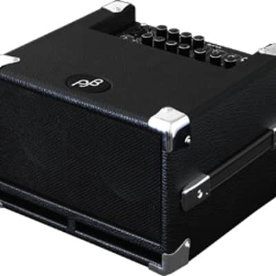 Phil Jones BG-120 Bass Cub Pro image 1