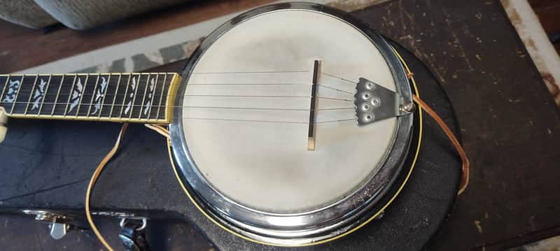 2006 Walker Mini Banjo w/ Custom Case image 1