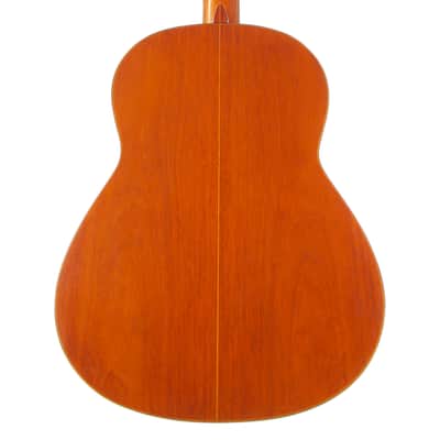 Manuel de la Chica 1957 - lightweight classical guitar with gorgeous sound - style of Santos Hernandez/Marcelo Barbero + Video! image 9