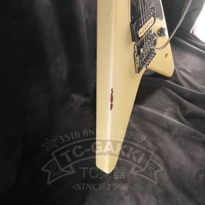 HAMER USA Vector KK image 7