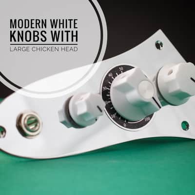 Immagine Abomination. Fender Jazz Bass Blend Harness and Plate - 4