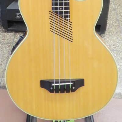 Washburn AB-20 1990s - Gloss Natural Wood With Washburn Case image 1
