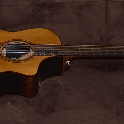 Breedlove Organic Pro Performer Thinline 2024 - Gloss image 3