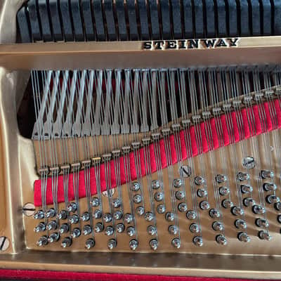Steinway & Sons B 1959 - Ebony Satin #362672 Bild 4