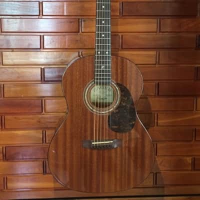 Zager SS MHGY Parlor Guitar image 1