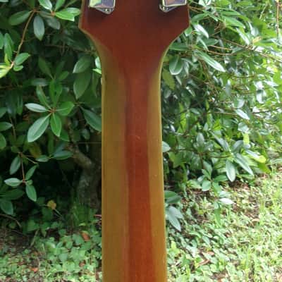Pearl Dreadnought Acoustic Guitar made by Hayashi Gakki CIRCA 1977 image 10