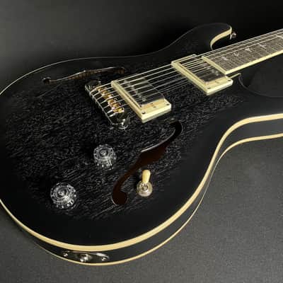 PRS SE Hollowbody Standard w/HSC - Dog Hair Smokeburst image 3