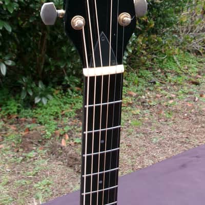 Alvarez Yairi 1990 YD88 BK Made In Japan "Paul McCartney" Black+Hard Case image 5