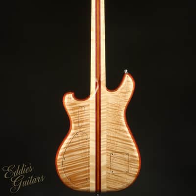 Alembic Further 6 Buckeye Burl - Resin Top image 5