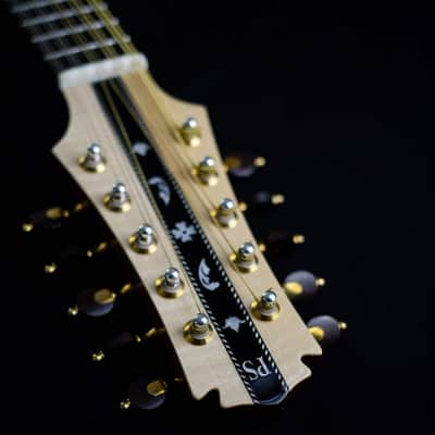 Pedro Santos 10-String Mandolin with VS Tuners | Brazil (Dudu Maia Model) image 8