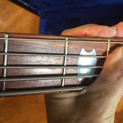 Early version Spector Euro 5 LX bass guitar flamed maple 5 string made in Czech Republic Make Offer! image 9