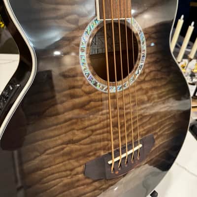 Michael Kelly 5 string Fretless Bass image 3