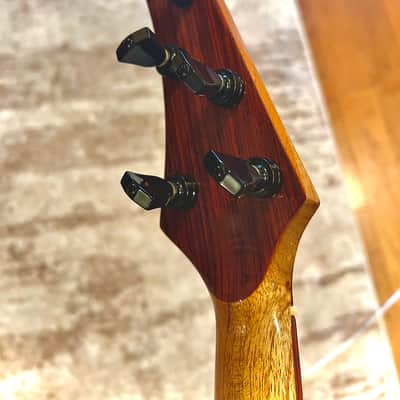 NFC (Nestoe Fuentes Cocobolo) Pineapple 5 String 2024 - Gloss image 7