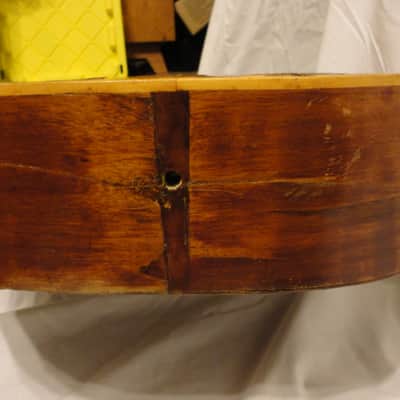 Knutsen Symphony 18 String Harp Guitar 1902 Natural image 16