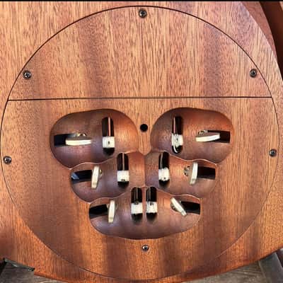 Paradis  Avalon ElectricAvalon Electric Acoustic Nylon String Guitar Polyphonic Acoustic image 9