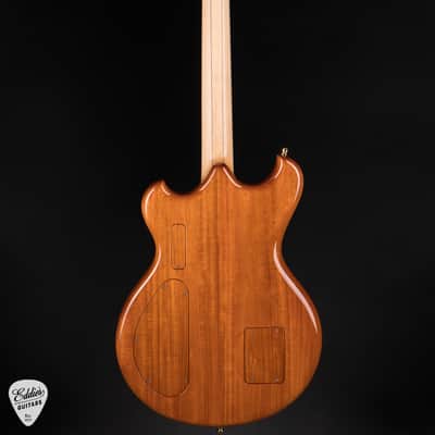 Alembic Skylark - Zebrawood image 5