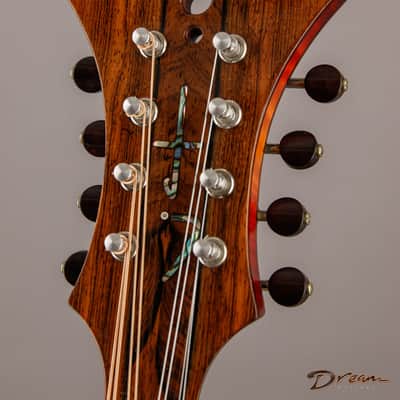 2014 Condino A style Mandolin, Brazilian Rosewood/Adirondack Spruce image 14