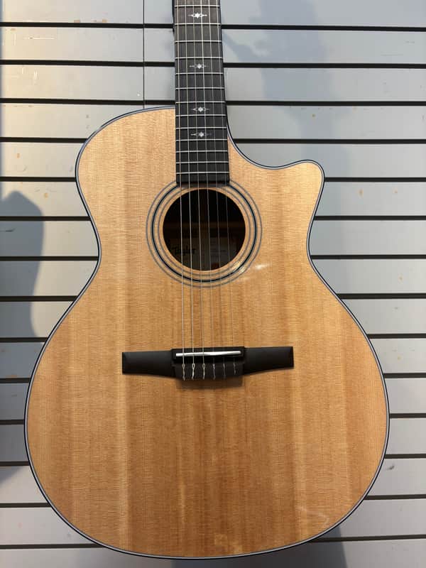 Taylor 314ce-N image 1