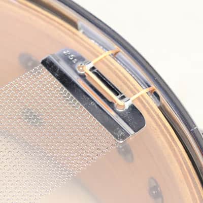 DDRUM Dave Lombardo Signature Snare 14×5.5 Dave Lombardo Snare Drum  [09/20] image 8
