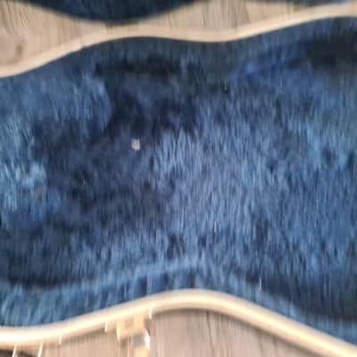Peavey EVH Wolfgang hard case 2005 image 6