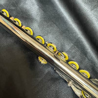 Eastman EFL-210 Flute image 5