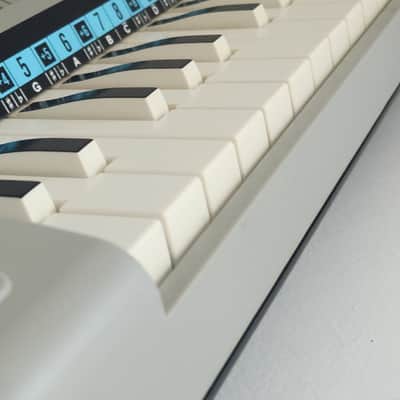 1970's Iconic Bontempi B3 Reed Organ image 8