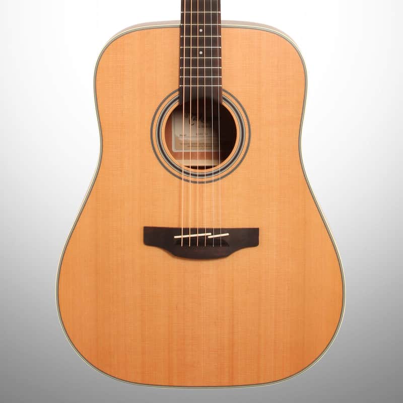 Takamine GD20 Dreadnought Acoustic Guitar image 1
