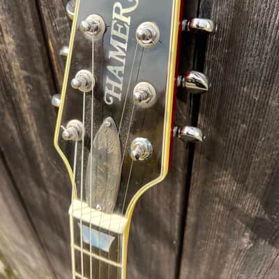 Rare Hamer Artist Sterling Silver Edition 25th Anniversary 1999 #11 of 25 Trans Red OHSC image 11