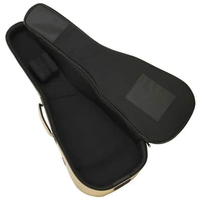 ARIA ABC-300CF COP Classic & Folk Gig Bag image 3