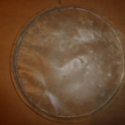 3x Set 12" , 13" calf drum head - Slingerland image 13