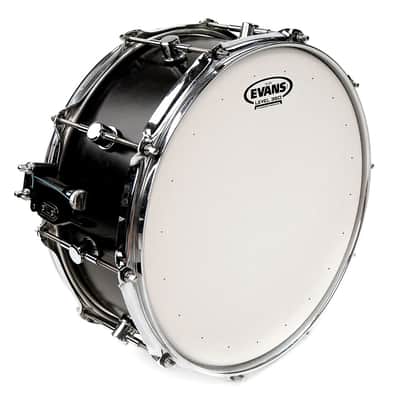 Evans Genera HD DRY B14HDD image 2