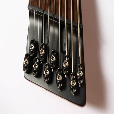 Agile 10 String Fan Fret Guitar w/ stainless frets & Fishman