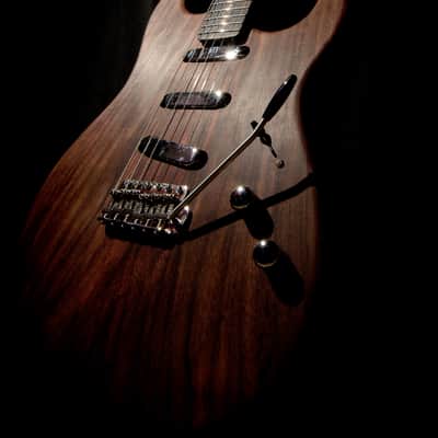 Custom Made Stratocaster - Extremely EXOTIC Rosewood Body w/Goncalo Alves & Macassar Ebony Neck image 3
