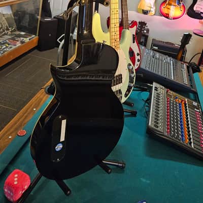 ESP LTD TL-12 Thinline Acoustic-Electric Guitar, 12-String image 14