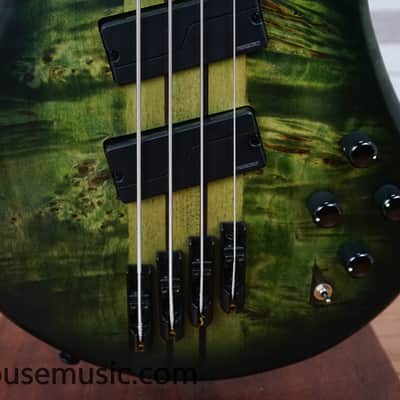 Spector NS Dimension 4 - Haunted Moss image 6