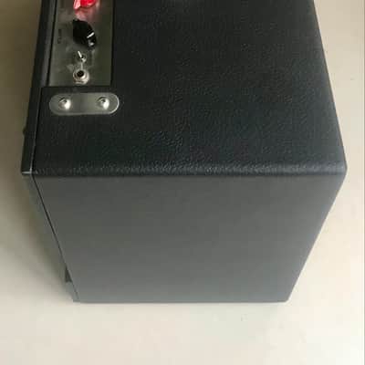 Allessandro Working Dog: Doberman 40 watt Combo image 4