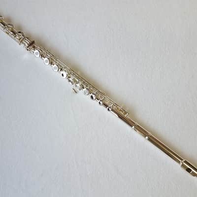 Immagine Professional 17 Open Hole Silver Plated Flute E Key B Foot with Case and Velvet Canvas Bag - 6