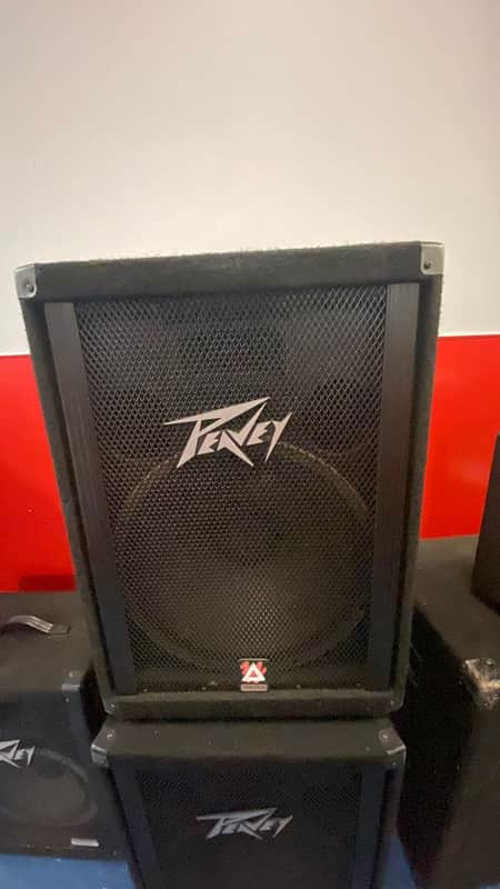 Peavey 115TLS Passive Speaker (Nashville, Tennessee) image 1