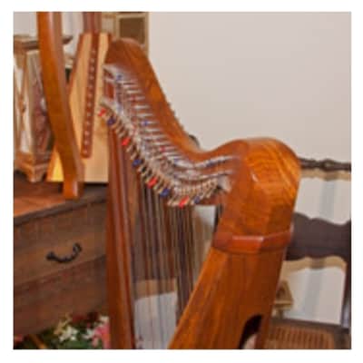 Roosebeck HMNA5CSP | Minstrel Harp 29-String, Chelby Levers Sheesham 5 Panel with Pedestal image 5